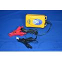 CHARGEUR / REGULATEUR AUTOMATIQUE BATTERIE