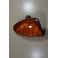 CABOCHON FEU CLIGNOTANT AV GAUCHE MERCEDES W123