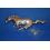 EMBLEME CHEVAL FORD MUSTANG