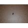 PITON AGRAFE CITROEN AMI 6 / 8